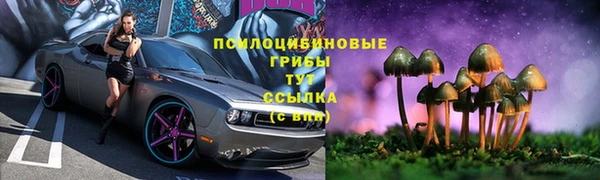 2c-b Каменногорск