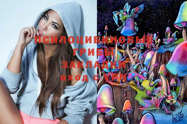 гидра Касимов