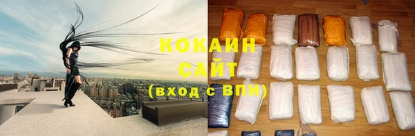 прущие грибы Карталы