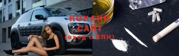 прущие грибы Карталы