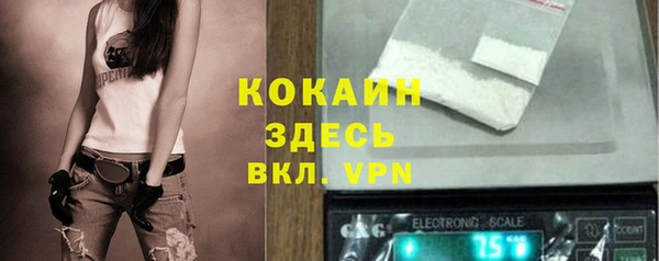 эйфоретик Карпинск