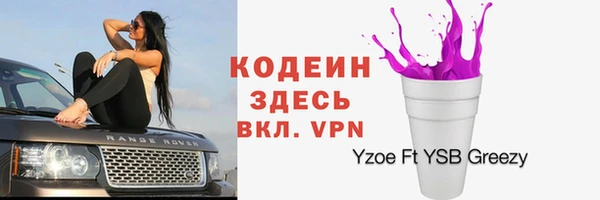 эйфоретик Карпинск