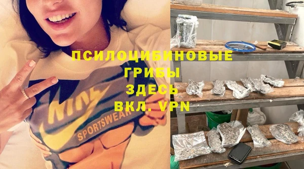 эйфоретик Карпинск