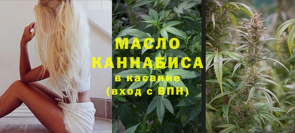 гидра Касимов