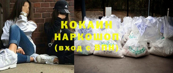 прущие грибы Карталы