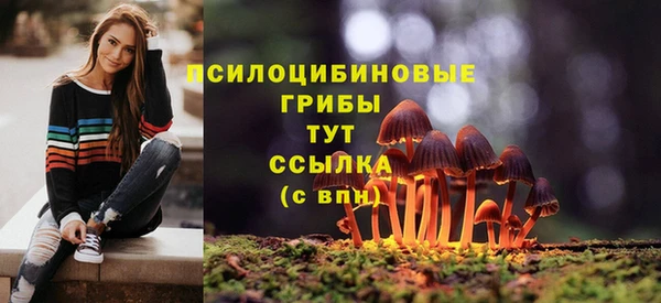 гидра Касимов