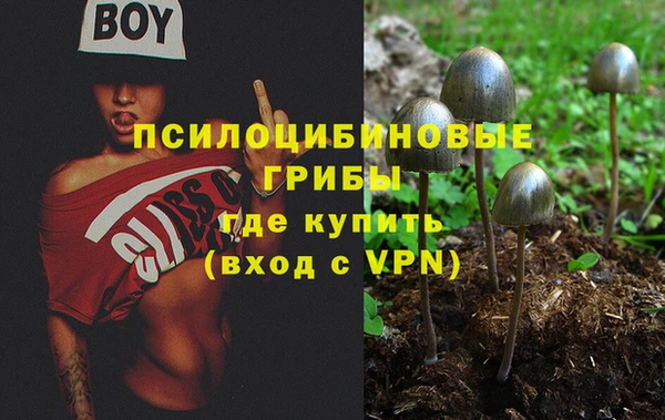 прущие грибы Карталы