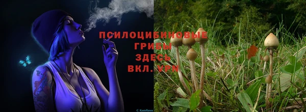 гидра Касимов