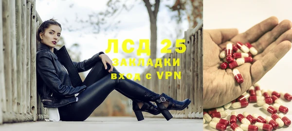прущие грибы Карталы