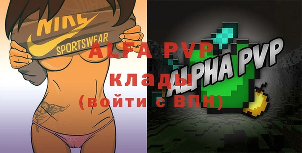 прущие грибы Карталы