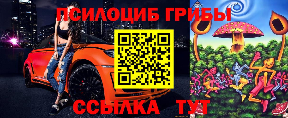 Псилоцибиновые грибы Cubensis Владикавказ